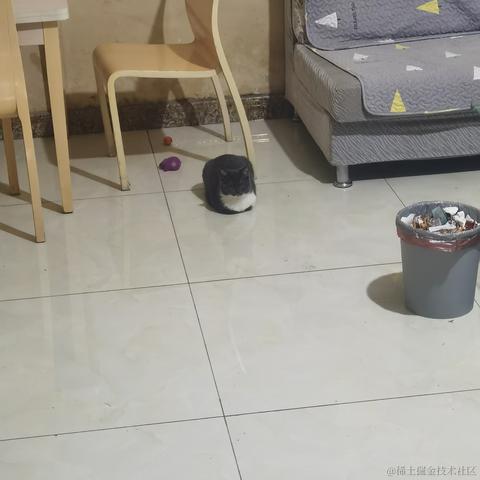 二十一一于2023-05-28 20:19发布的图片