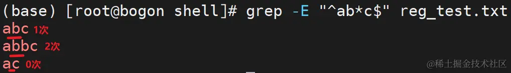 image-20230425204831789