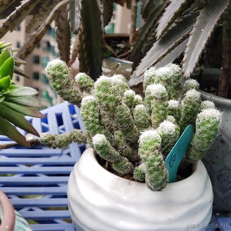 晚子不可以于2022-11-27 13:39发布的图片