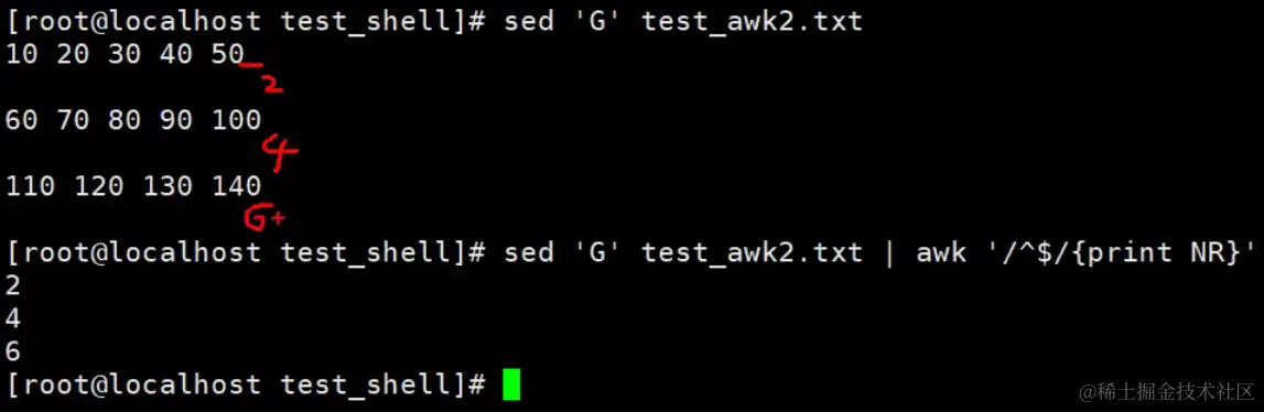 image-20240203143400833