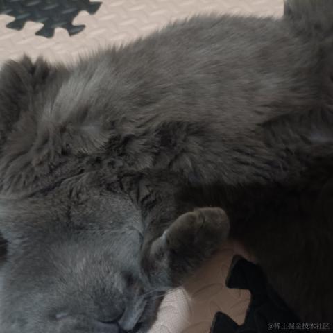 然比然比妈妈爱你于2022-12-16 16:18发布的图片