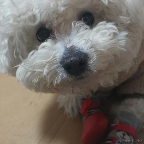 hhhhhao于2023-01-18 12:38发布的图片