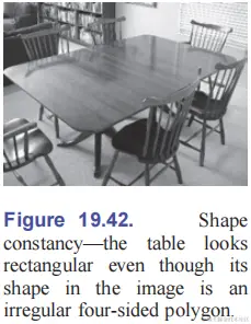 shape-constancy.png