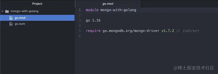go.mod file after installing mongo-go-driver