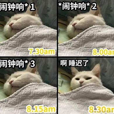 暴躁打工人于2023-09-12 21:08发布的图片