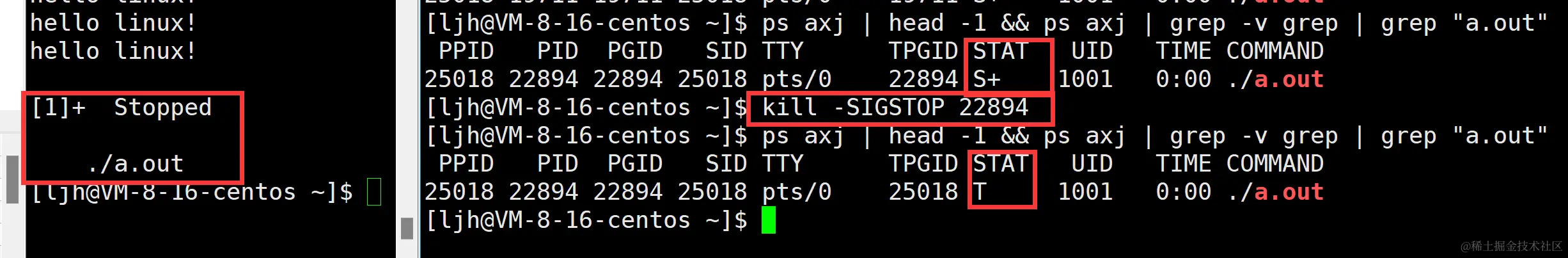 image-20240106170234234