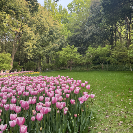 你说这是为什么于2023-05-26 10:55发布的图片