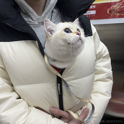 我不是KFC于2024-02-09 23:50发布的图片