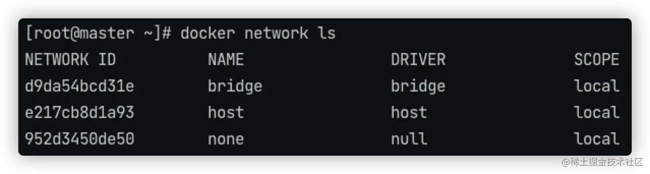 image-20220220191636020