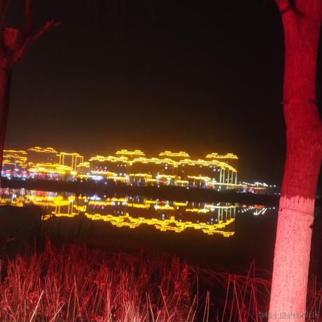 向晚今天吃水母于2022-11-13 18:32发布的图片