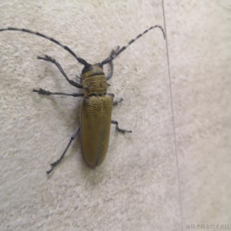 可爱小晚比于2022-11-26 00:17发布的图片