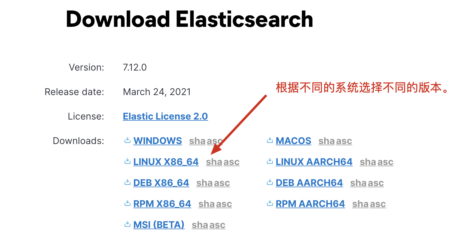 es7集群的搭建-一一网
