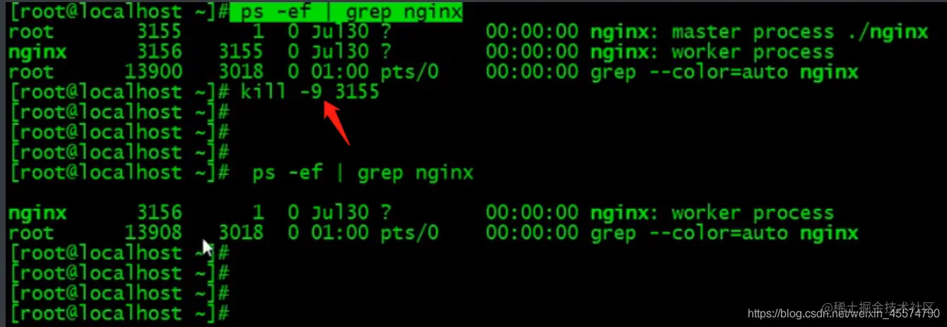 【精通Linux系列】服务器之间的telnet与scp命令用