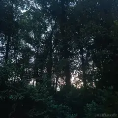 AHASXH于2022-11-20 10:11发布的图片