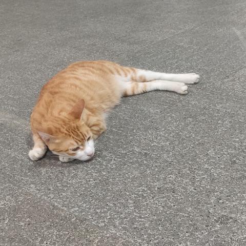 然然世界第一可爱于2022-11-17 12:39发布的图片