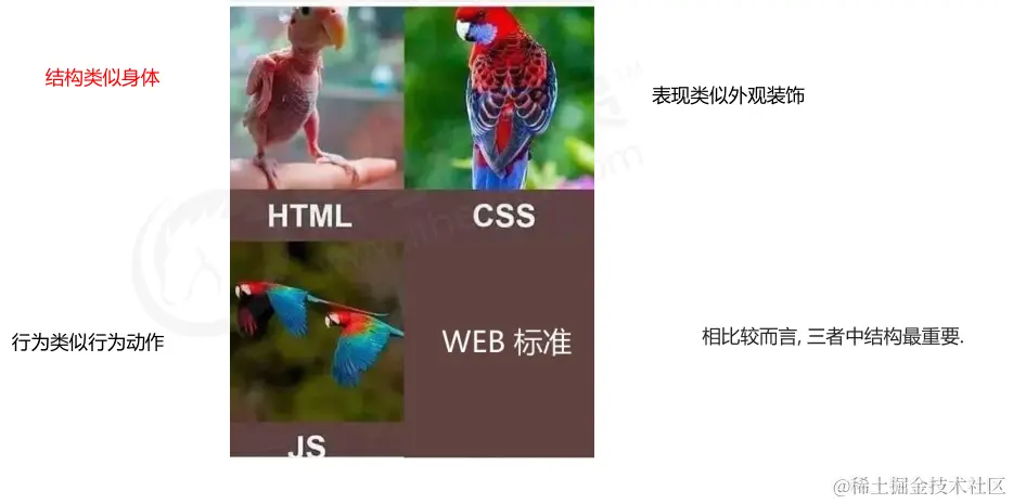 image-20210428165504911