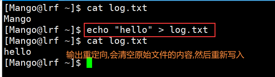 image-20220313143649075