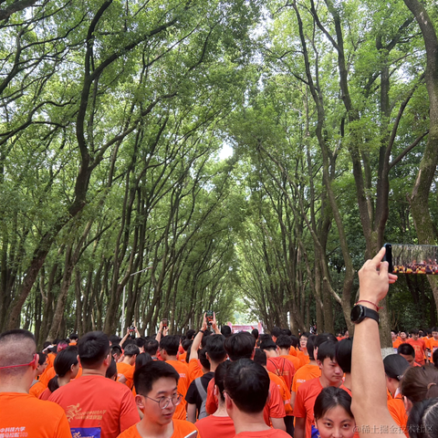 suri于2023-05-13 11:16发布的图片