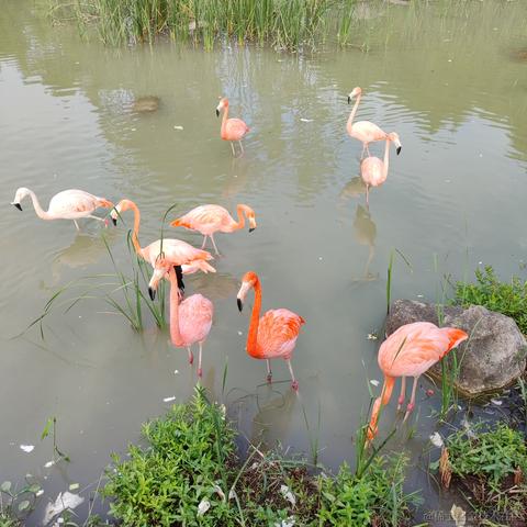 优秀稳妥的金枪小魔王于2022-09-26 09:26发布的图片