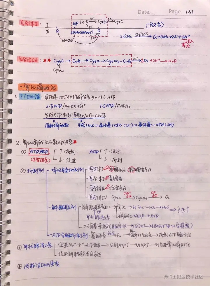 生化手写笔记.pdf