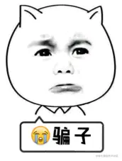 骗子.gif