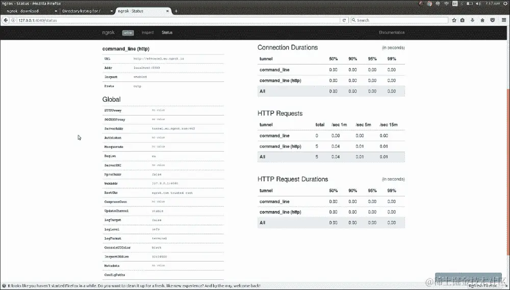 从本地主机到即时 DNS