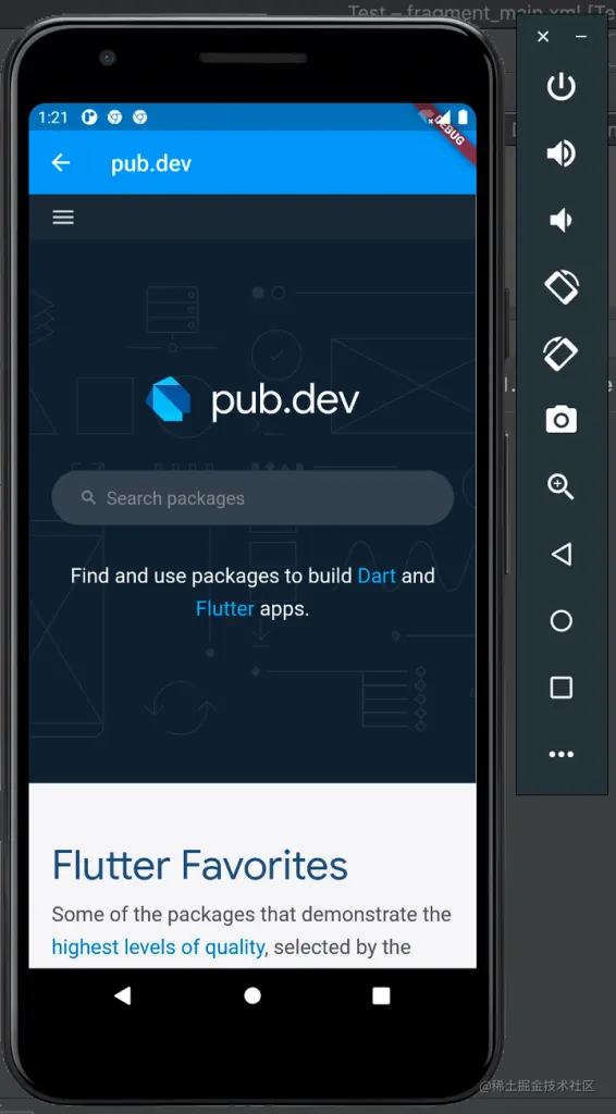 Flutter WebView Pub.Dev Example 1