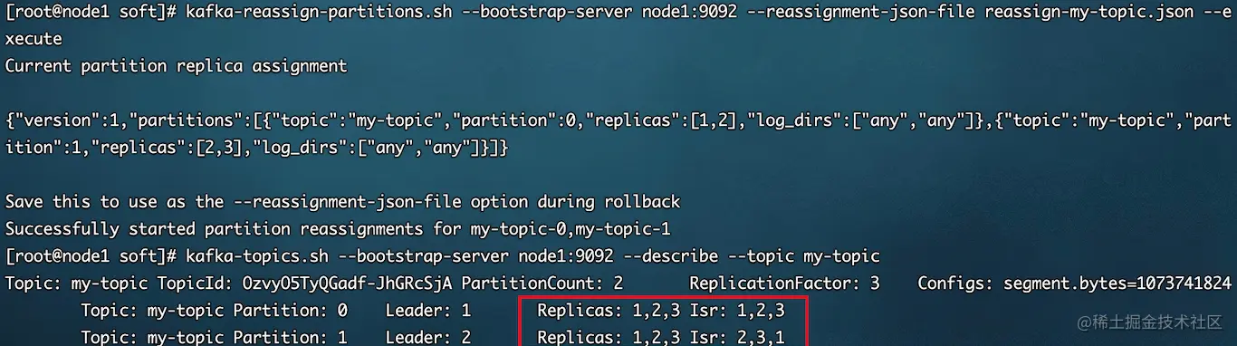 image-20220119213555397