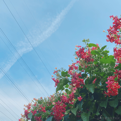 超爱吃芒果于2022-05-21 10:25发布的图片