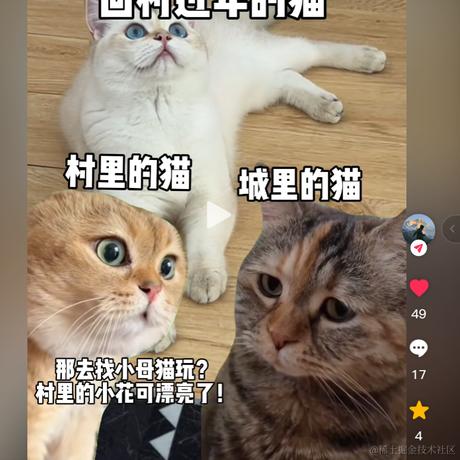 我不是KFC于2024-02-05 09:55发布的图片