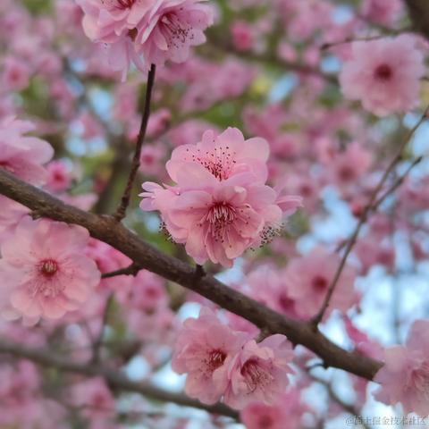 Mr_Li于2023-03-15 09:33发布的图片