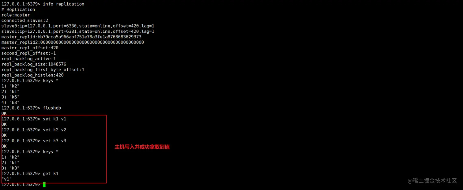 image-20200503205641663