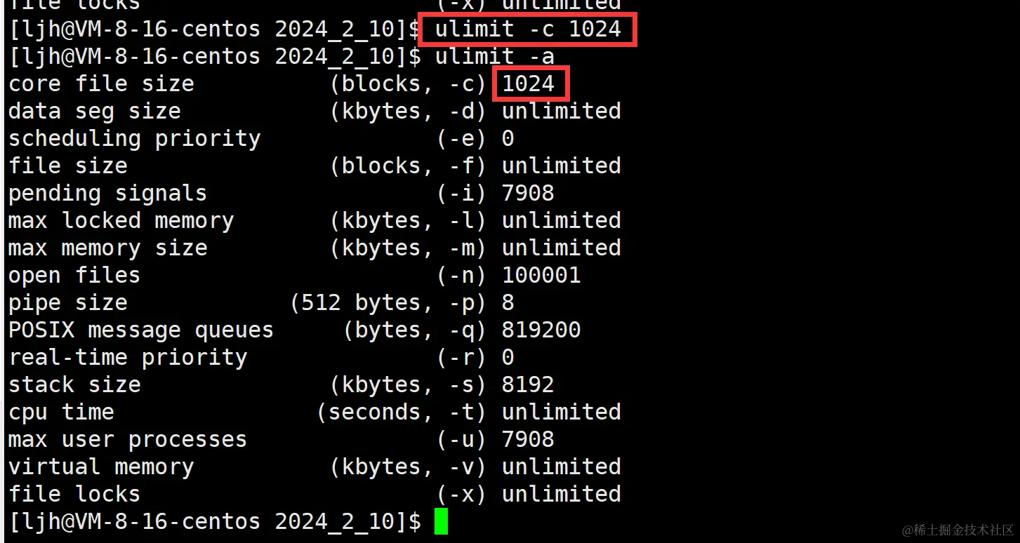 image-20240211002558930