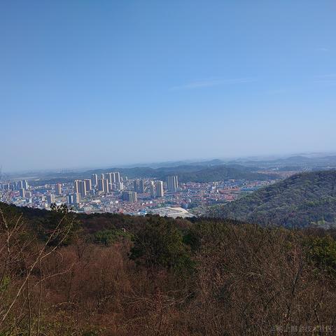 老飞棍于2023-03-19 02:38发布的图片