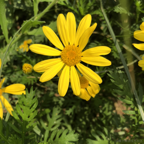 紫樱于2020-09-30 16:09发布的图片