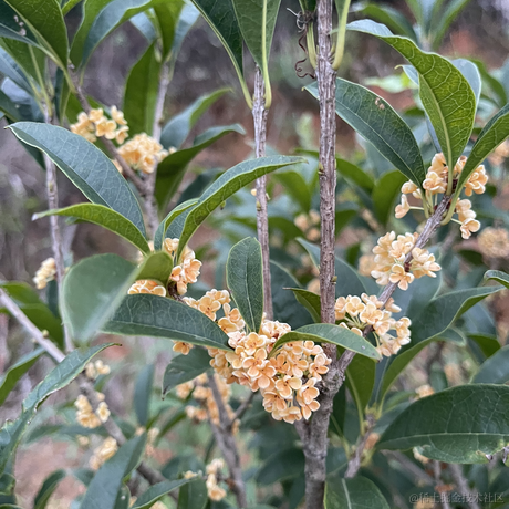 阿白49于2023-10-02 01:13发布的图片