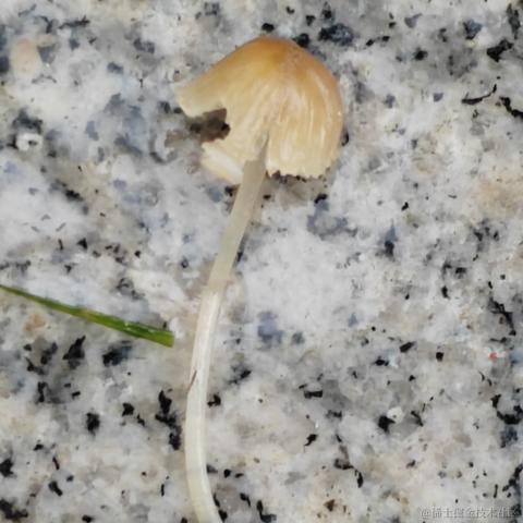 Uwiling于2022-12-02 22:23发布的图片