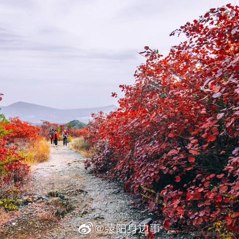 爱吃荆芥于2020-10-30 09:54发布的图片