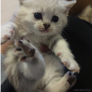 orangecat于2023-05-23 10:36发布的图片