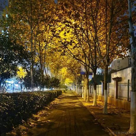 电话你先挂于2022-12-13 10:46发布的图片