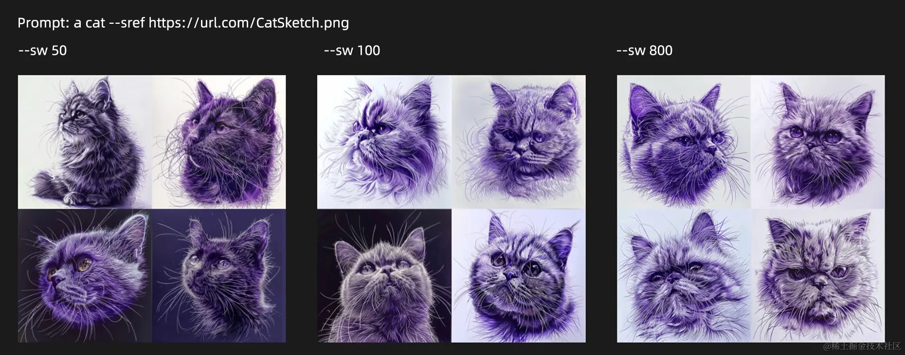 sw参数不同，生成的图片也不相同