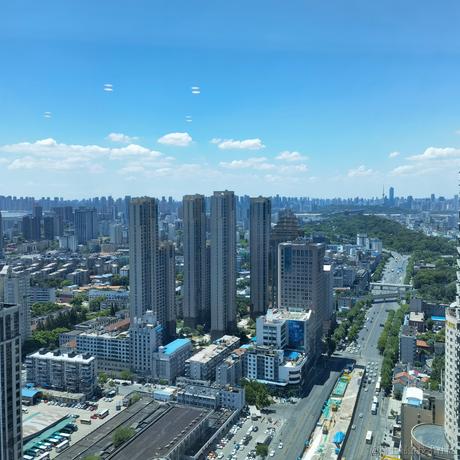 聪明勇敢贝极星于2022-11-26 10:17发布的图片