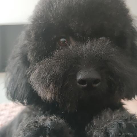 璇天凤舞于2023-05-14 03:10发布的图片