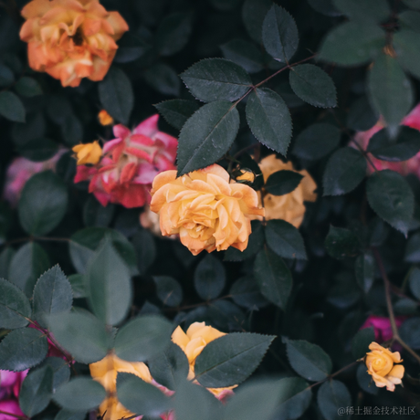 Ton于2023-05-13 22:37发布的图片