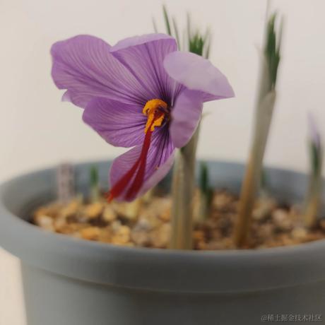 我是王登于2022-11-30 14:30发布的图片