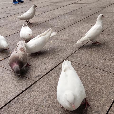 江无花于2021-05-30 20:18发布的图片