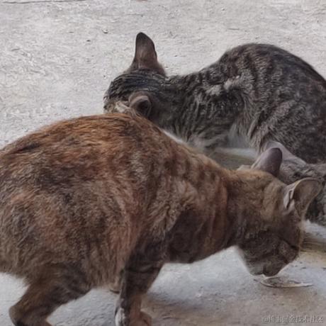 O向晚大魔王O于2022-12-15 12:42发布的图片