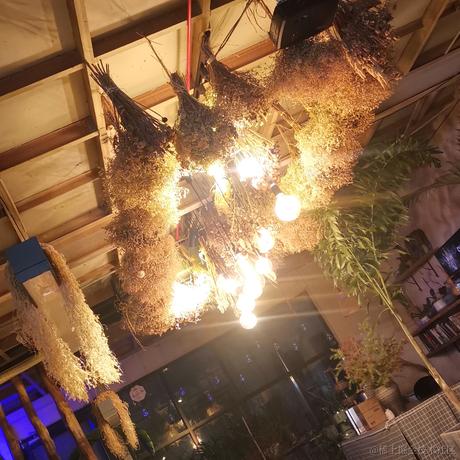 _鱼鱼鱼YU_于2022-12-09 18:01发布的图片