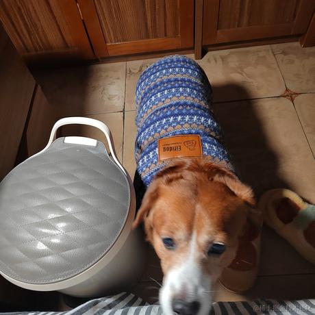 锅里没有水母于2022-12-17 14:55发布的图片