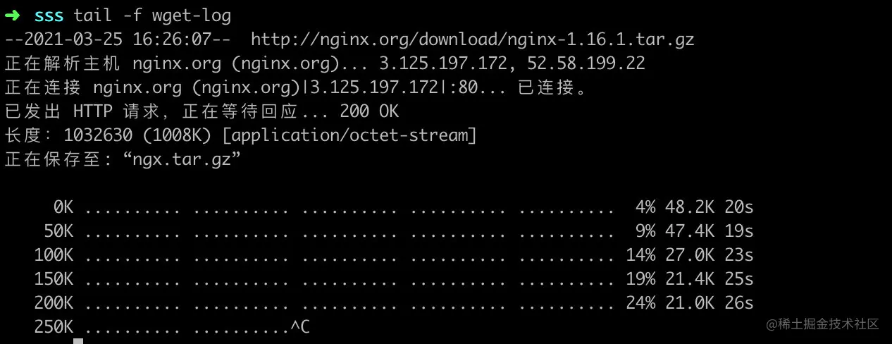 image-20210325163016941